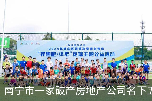 南宁市一家破产房地产公司名下五千多万应收款拍卖，1100万成交