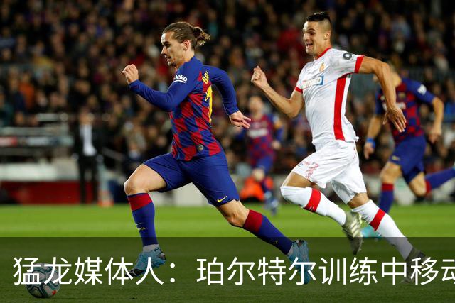 猛龙媒体人：珀尔特尔训练中移动状态很好 猛龙只需要个正常的他