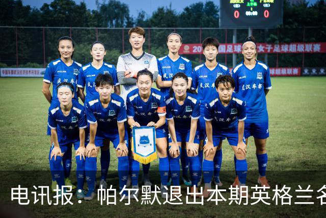 电讯报：帕尔默退出本期英格兰名单，预计接下来还有更多人会退出